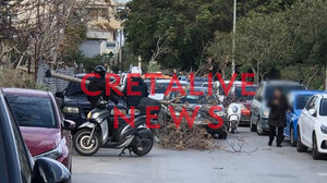 Σαρώνουν οι νοτιάδες: Δέντρο έπεσε πάνω σε ΙΧ, κλαδί "προσγειώθηκε" σε αγροτικό - "Καμπανάκι" για αιωρούμενα σωματίδια