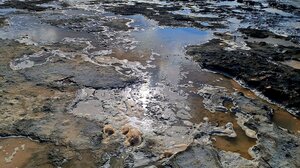 Ο Σύλλογος Προστασίας Περιβάλλοντος Σταυρού για τη χωροθέτηση του αντλιοστασίου ανεπεξέργαστων λυμάτων