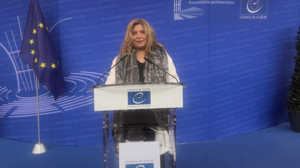 Μαρία Συρεγγέλα: Εξελέγη Αντιπρόεδρος της Επιτροπής Ισότητας και μη Διακρίσεων