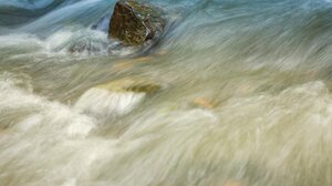 Ροδόπη: Σε εξέλιξη έρευνες για τον εντοπισμό αγνοούμενου στον ποταμό Λίσσο