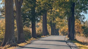 Καθαρισμοί δημοτικών και αγροτικών δρόμων από τον Δήμο Ρεθύμνης 