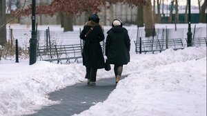 Πολικό ψύχος πλήττει τις ΗΠΑ: Τους 30 έφτασαν οι νεκροί