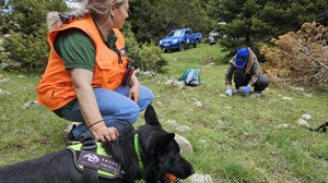 Εθνική Ημέρα Δράσης κατά των δηλητηριασμένων δολωμάτων