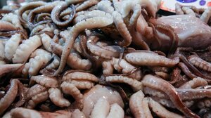 «Αντί για θαλασσινά, αγόρασαν πάγο»: Καταγγελίες στην Ένωση Προστασίας Καταναλωτών Κρητης