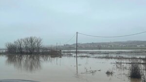 Έβρος: Τραγωδία με δύο νεκρούς μετανάστες - Προσπάθησαν να περάσουν το ποτάμι και τους βρήκαν παγωμένους