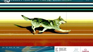 Απίστευτο περιστατικό στους Χειμερινούς Ολυμπιακούς Αγώνες: Σκύλος εισέβαλε στην πίστα του σκι και έτρεχε πίσω από τις αθλήτριες