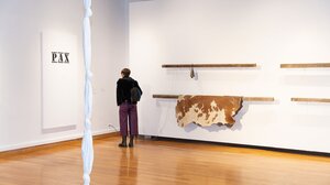 Ligne rouge» της Λυδίας Δαμπασίνα: Τον Φεβρουάριο στη Δημοτική Πινακοθήκη Χανίων