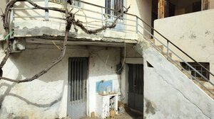 Αδελφοκτονία: «τον έσφαξα σαν τον χοίρο» τα λόγια του 64χρονου δράστη σε αστυνομικούς 