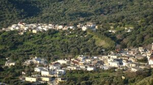 «Η Μάρθα βυθίστηκε στη σιωπή και την οδύνη»