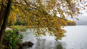 Σε κατάσταση αυξημένης επιφυλακής στην Ορεστιάδα: Αναμένεται μεγάλος όγκος υδάτων σε Άρδα και Έβρο 