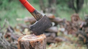 Εκτός φυλακής ο 72χρονος που σκότωσε τον γιο του με σκεπάρνι