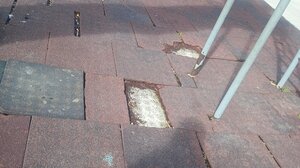 "Το πάρκο της ντροπής"