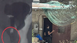 Ρέθυμνο: Βίντεο-ντοκουμέντο από την επίθεση στον κτηνοτρόφο που του έκοψαν τη γλώσσα 