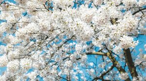 Αίθριος ο καιρός την Τετάρτη 4 Μαρτίου στην Κρήτη