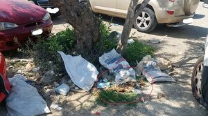 Ηράκλειο: Νεκρό ζώο, σε αποσύνθεση, έξω από νηπιαγωγείο