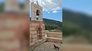 Σκύλος χτυπάει την καμπάνα και γίνεται viral – Δείτε το απίστευτο βίντεο!