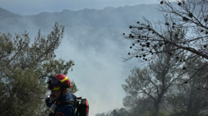 Φωτιά στη Βιάννο: Καλύτερη η εικόνα - Συνεχίζουν τις προσπάθειες