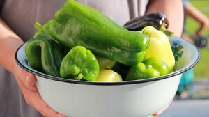 Τι έδειξε νέα μεγάλη έρευνα για τον καρκίνο και τους χορτοφάγους