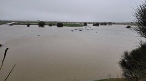 Καταρρακτώδεις βροχές στο Οροπέδιο - «Ανάσα» σε καλλιέργειες και Αποσελέμη (βίντεο)