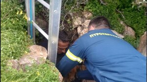 Σύρος: Διάσωση σκύλου από πηγάδι 15 μέτρων, τον έψαχναν 10 μέρες οι κηδεμόνες του