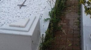 Παράταση στην προθεσμία για επικαιροποίηση στοιχείων σε όσους διαθέτουν οικογενειακούς τάφους