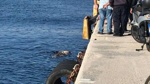 Τύχη βουνό είχε ηλικιωμένη ενώ κολυμπούσε στη Χερσόνησο