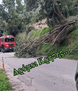Χαρουπιά "έκοψε" τον δρόμο στα Χανιά