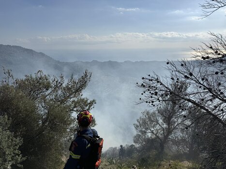 Φωτιά στη Βιάννο: Συνεχίζεται η μάχη με τις φλόγες - Η ανάρτηση του Δημάρχου Βιάννου