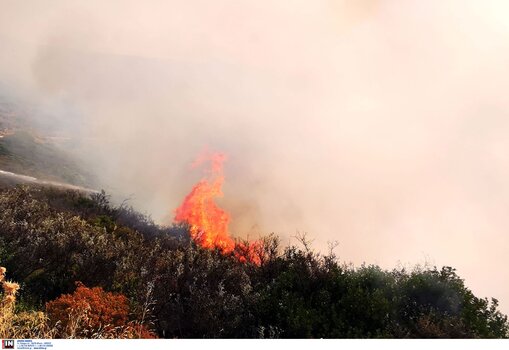 Καίνε κλαδιά και ξερόχορτα… και τα αφήνουν στην τύχη τους!