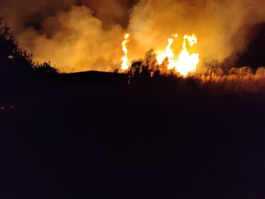 φωτιά Σκινιάς