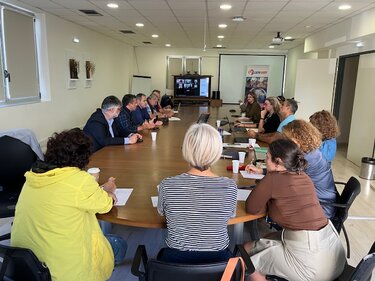 elmepa trohaia synantisi