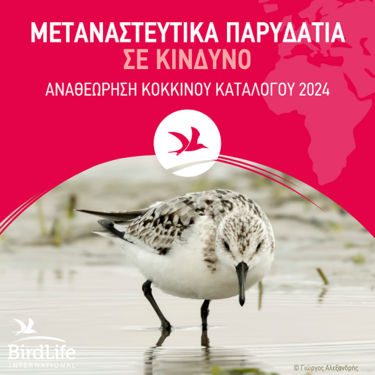 μεταναστευτικά πουλιά