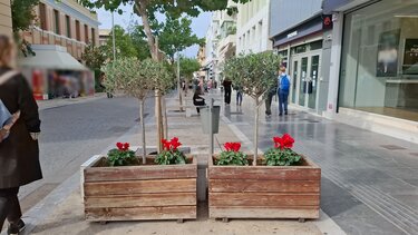 alexandrina zartinieres.