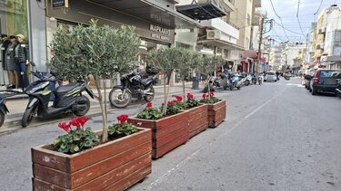 alexandrina zartinieres...