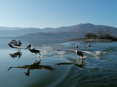 Βιώσιμη ανάπτυξη