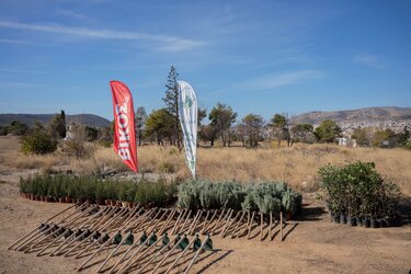 Δεντροφύτευση Βίκος we4all