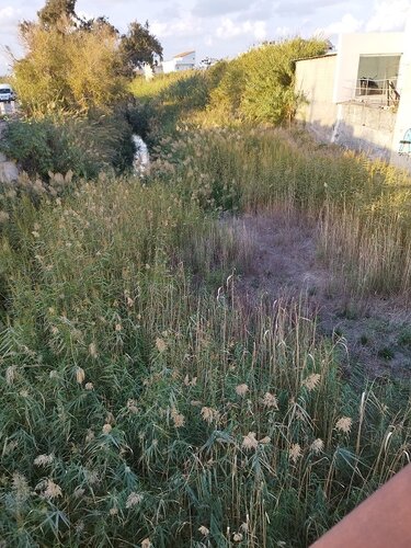 Γιόφυρος, Καθάρισμα, Βροχές