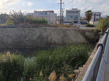 Γιόφυρος καθαρισμός