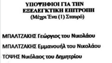Εξελεγκτική επιτροπή 