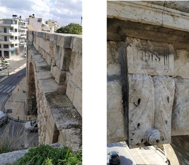 xanioporta fthores....