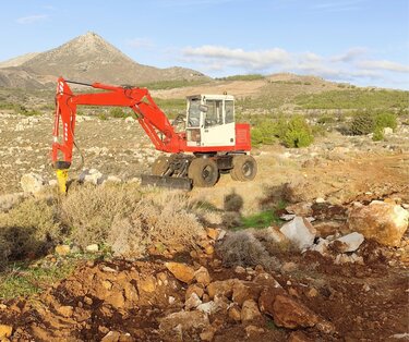 δασος κερης