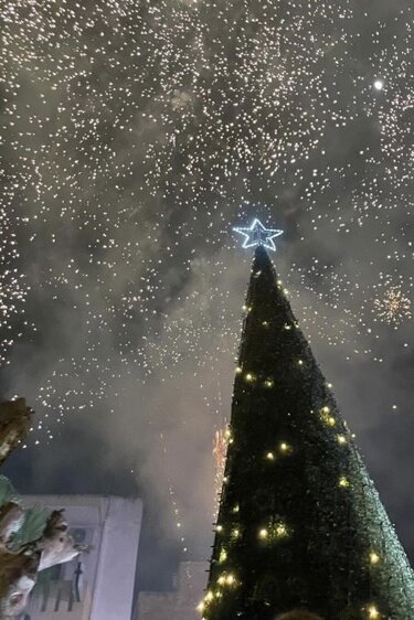 δέντρο, Τυμπάκι