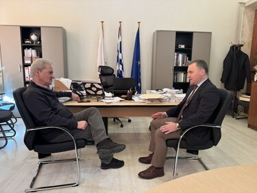 Δήμαρχος Ηρακλείου, ΔΣΗ