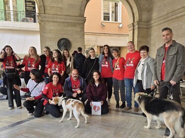 Γιορτή υιοθεσίας, Αλέξης Καλοκαιρινός