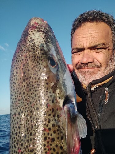 Λαγοκέφαλος, Ψαράς, Βιάννος