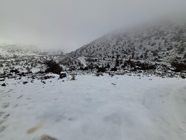 Λιμνάκαρος, Χιόνι