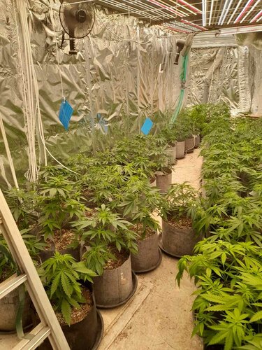 Γιάφκα,Ρέθυμνο, όπλα, ναρκωτικάel