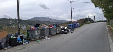 Φοινικιά Σκουπίδια