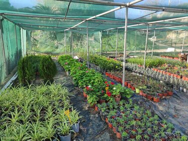 Φυτώριο Δήμος Ηρακλείου