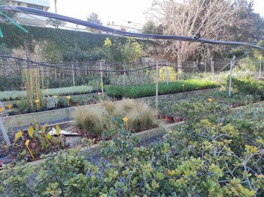 Φυτώριο Δήμος Ηρακλείου